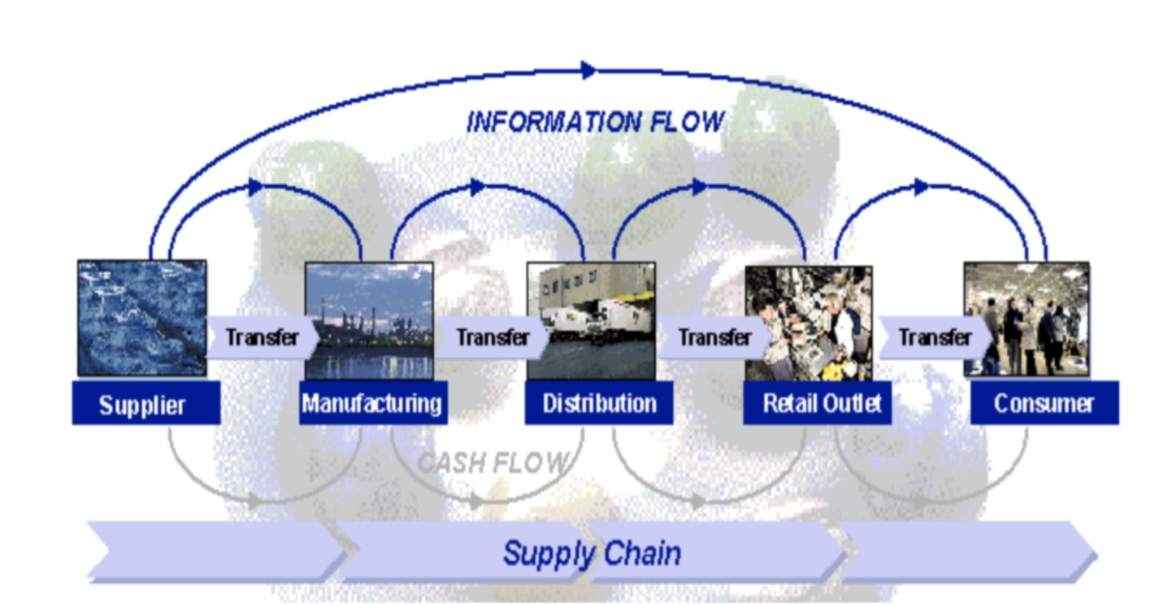 Information Flow in ERP